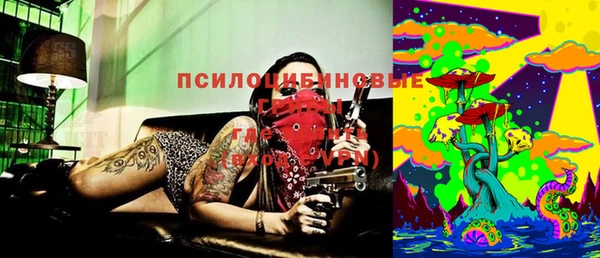 прущая мука Верея