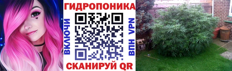 где купить наркотик  площадка наркотические препараты  Бошки Шишки LSD WEED  Нальчик 